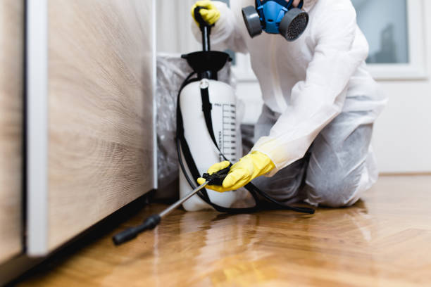 Best Mosquito Control Services  in Town And Country, MO