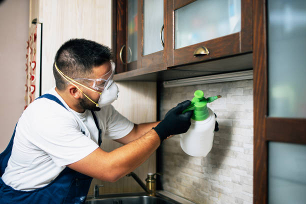 Best Pest Removal Services  in Town And Country, MO