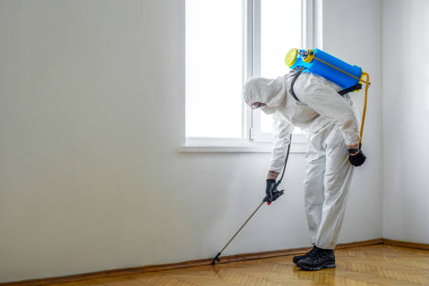 Insect Control in Town And Country, MO
