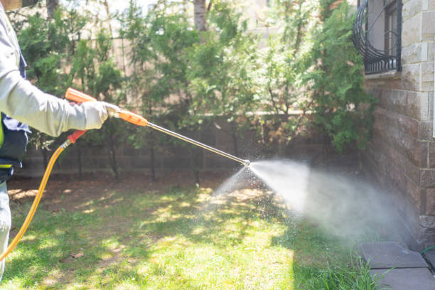 Best Affordable Pest Control Services  in Town And Country, MO